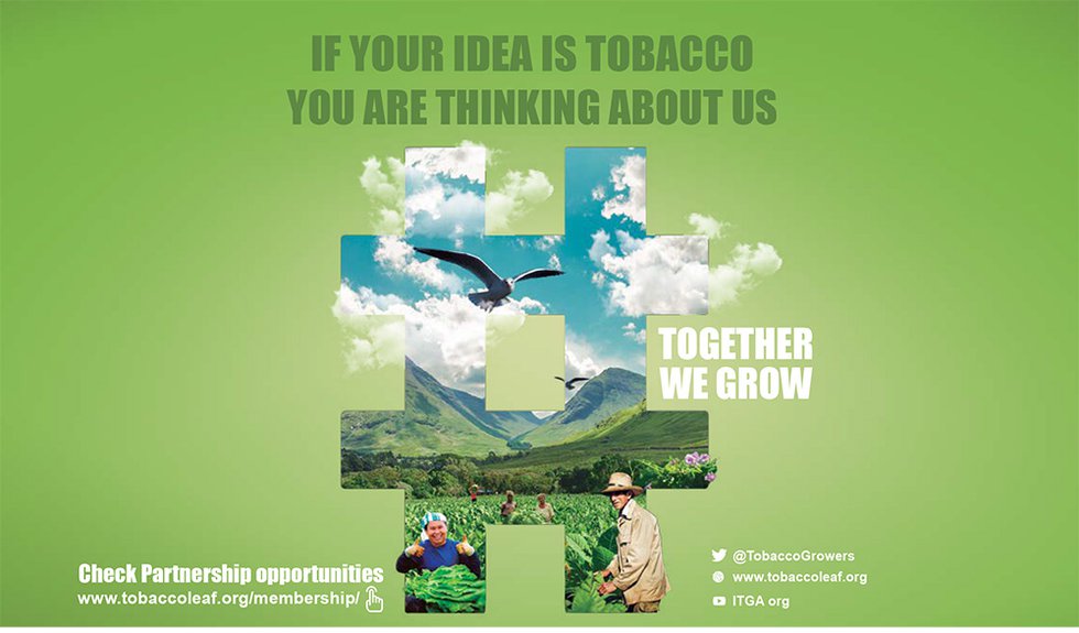The Future of Tobacco Growing