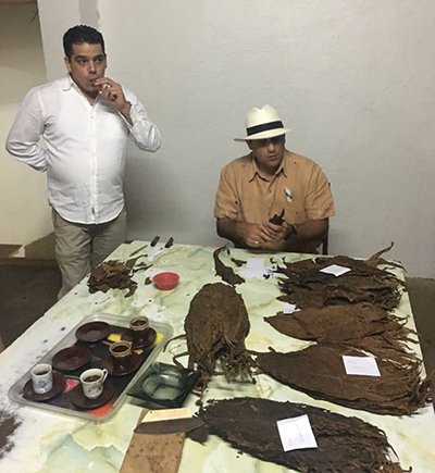 Cigars: Spotlight on Honduras
