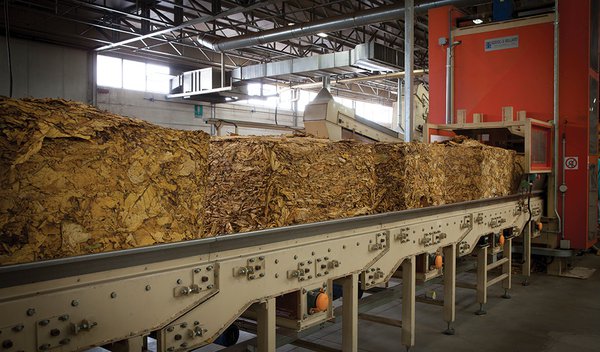 Passionate About Tobacco: Italy’s Suppliers